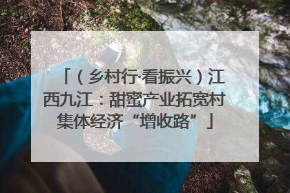 （乡村行·看振兴）江西九江：甜蜜产业拓宽村集体经济“增收路”
