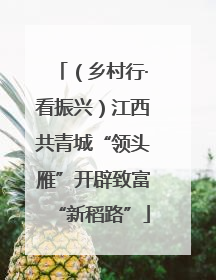 （乡村行·看振兴）江西共青城“领头雁”开辟致富“新稻路”