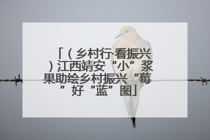 （乡村行·看振兴）江西靖安“小”浆果助绘乡村振兴“莓”好“蓝”图