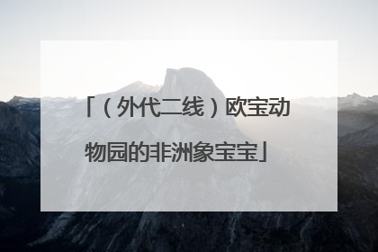 （外代二线）欧宝动物园的非洲象宝宝