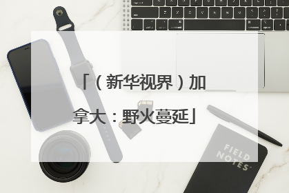 （新华视界）加拿大：野火蔓延