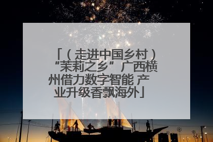 （走进中国乡村）“茉莉之乡”广西横州借力数字智能 产业升级香飘海外