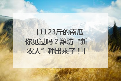 1123斤的南瓜你见过吗？潍坊“新农人”种出来了！