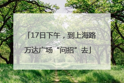 17日下午，到上海路万达广场“问招”去