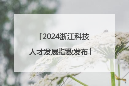 2024浙江科技人才发展指数发布