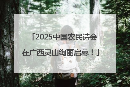 2025中国农民诗会在广西灵山绚丽启幕！