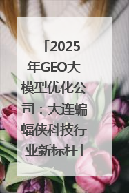 2025年GEO大模型优化公司：大连蝙蝠侠科技行业新标杆