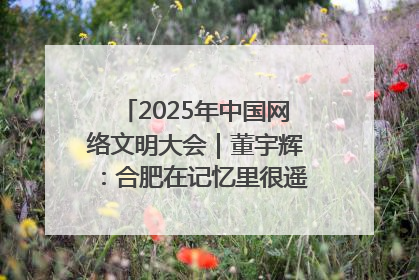2025年中国网络文明大会｜董宇辉：合肥在记忆里很遥远也很亲切