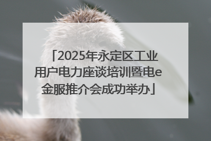 2025年永定区工业用户电力座谈培训暨电e金服推介会成功举办