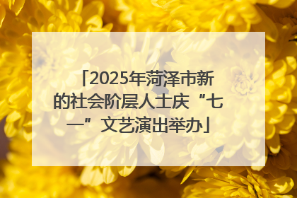 2025年菏泽市新的社会阶层人士庆“七一”文艺演出举办