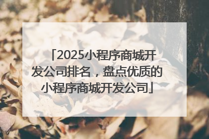 2025小程序商城开发公司排名，盘点优质的小程序商城开发公司