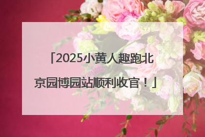 2025小黄人趣跑北京园博园站顺利收官！