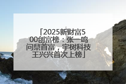 2025新财富500创富榜：张一鸣问鼎首富，宇树科技王兴兴首次上榜