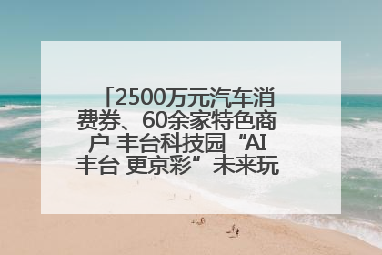 2500万元汽车消费券、60余家特色商户 丰台科技园“AI丰台 更京彩”未来玩家市集活动正式开幕