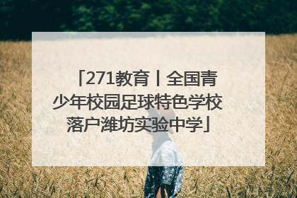 271教育丨全国青少年校园足球特色学校落户潍坊实验中学