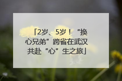 2岁、5岁！“换心兄弟”跨省在武汉共赴“心”生之旅