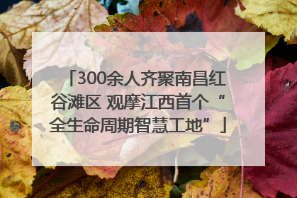 300余人齐聚南昌红谷滩区 观摩江西首个“全生命周期智慧工地”