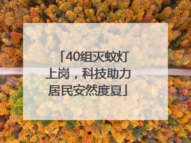 40组灭蚊灯上岗，科技助力居民安然度夏