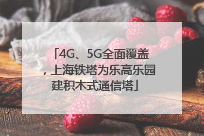 4G、5G全面覆盖，上海铁塔为乐高乐园建积木式通信塔