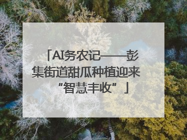 AI务农记——彭集街道甜瓜种植迎来“智慧丰收”