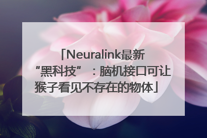 Neuralink最新“黑科技”：脑机接口可让猴子看见不存在的物体